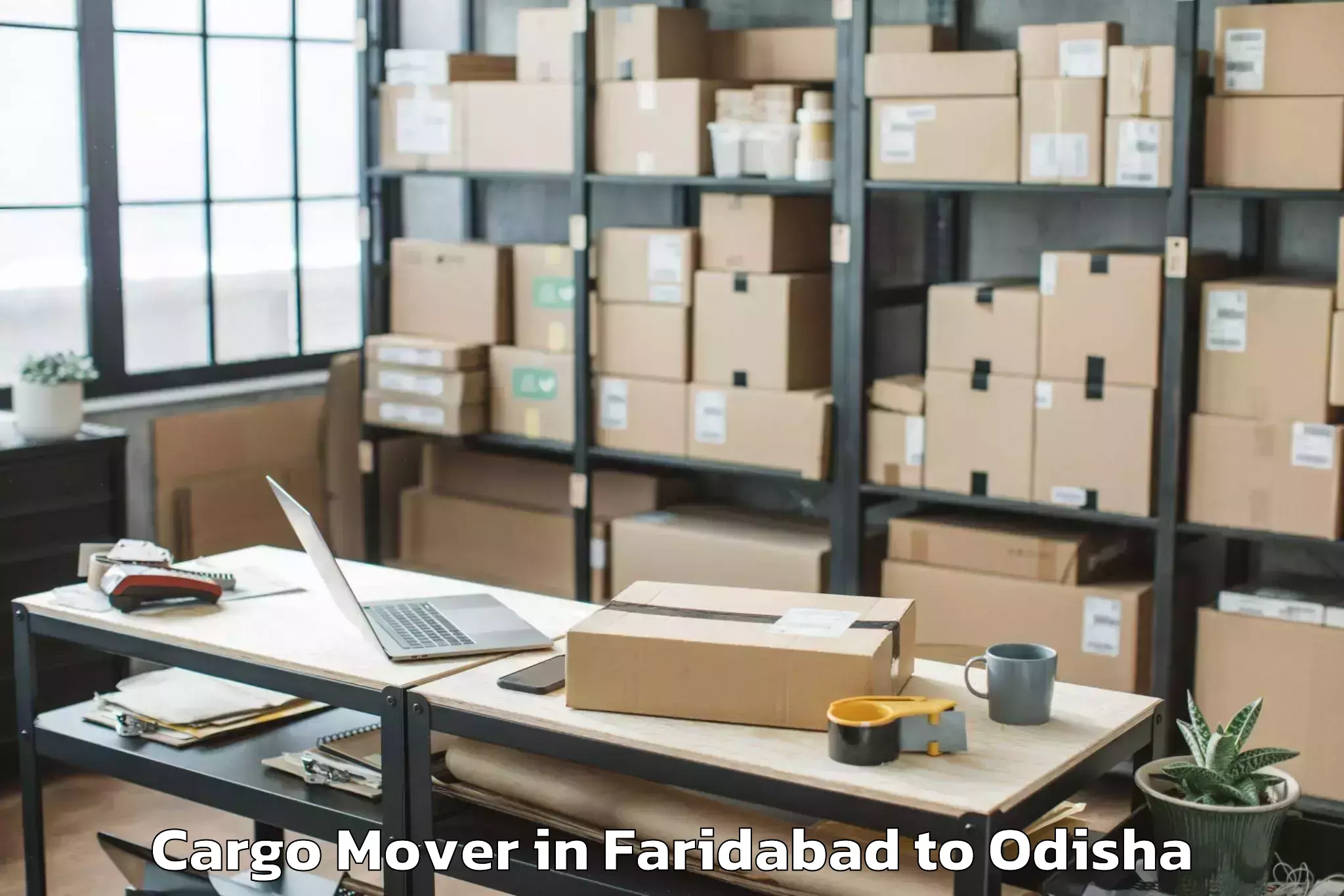 Trusted Faridabad to Sambalpur University Burla Cargo Mover